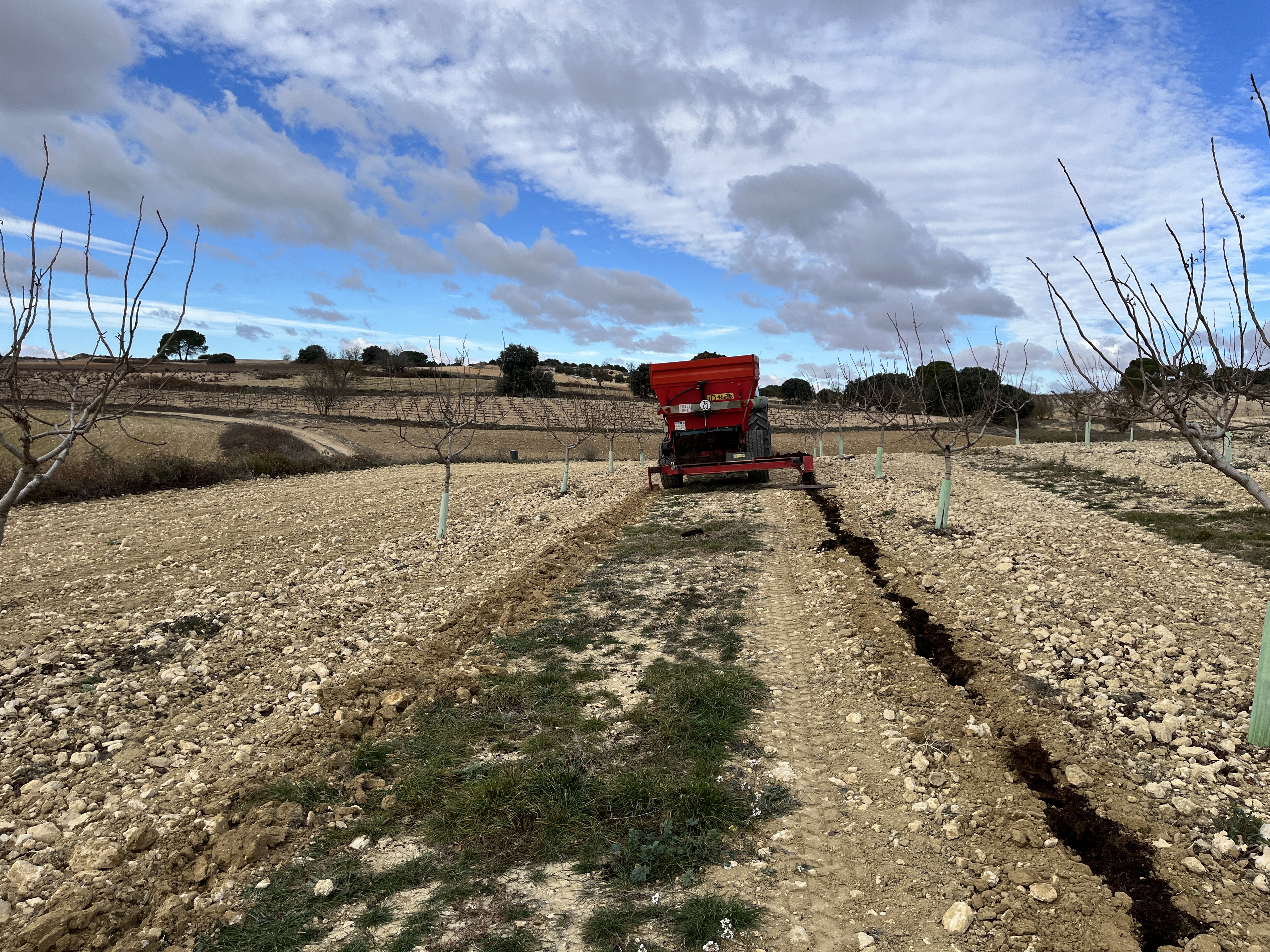 importancia del suelo en agricultura