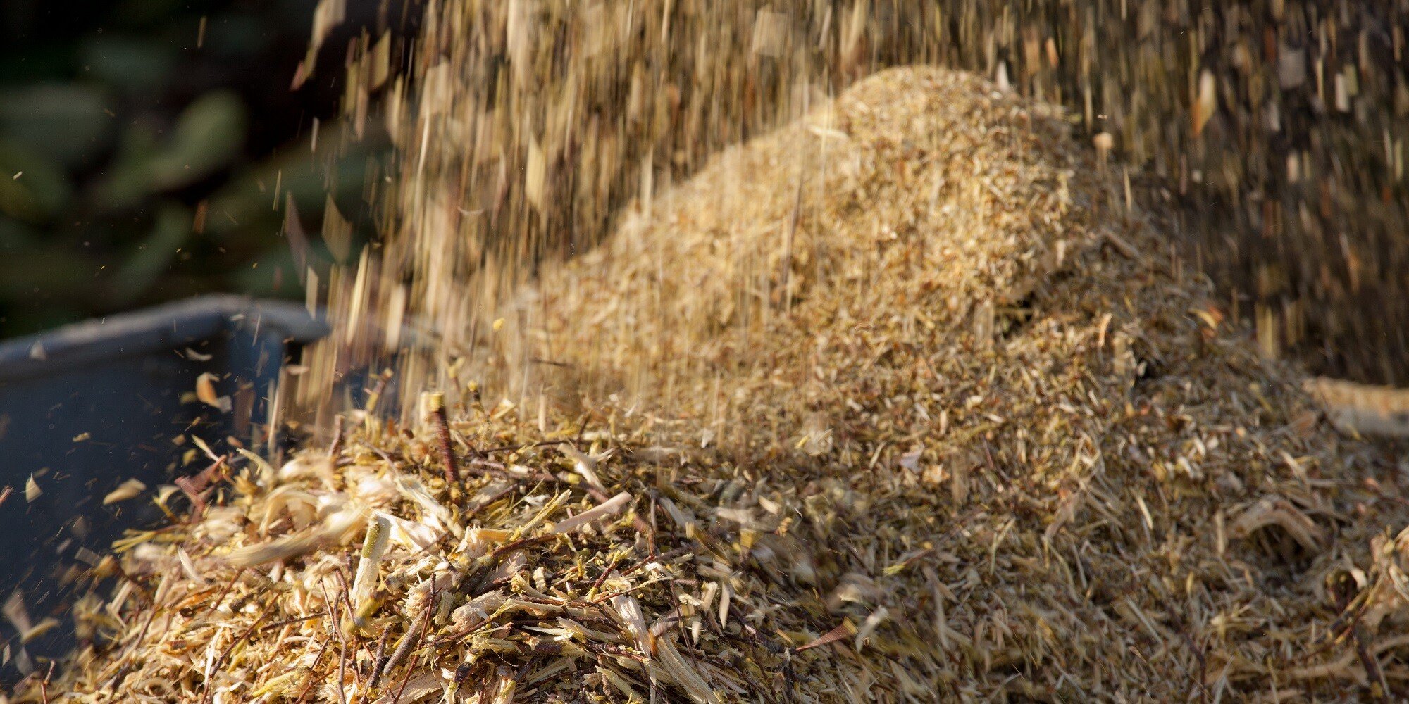 ¿Cómo ayuda la biomasa a la prevención de incendios?