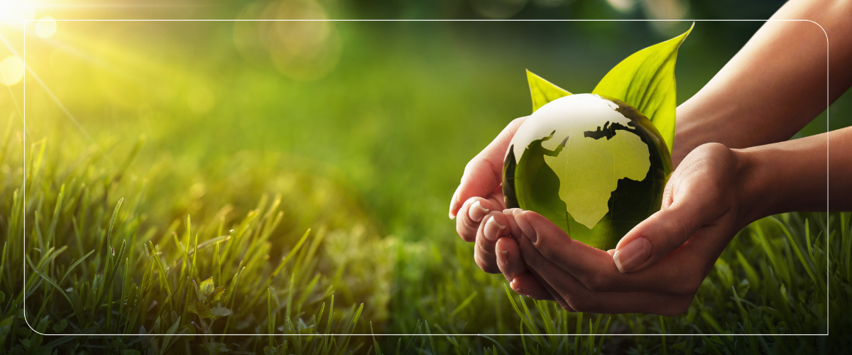 Descarbonización industrial y sostenibilidad 